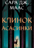 Клинок асасинки