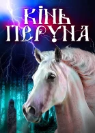 Мультимедійне видавництво Стрельбицького